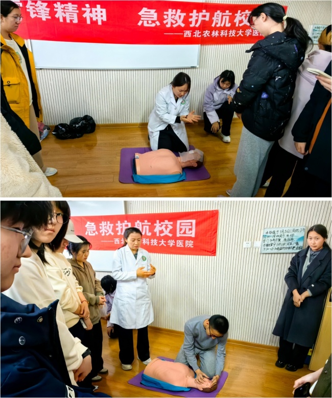 未命名_副本.jpg