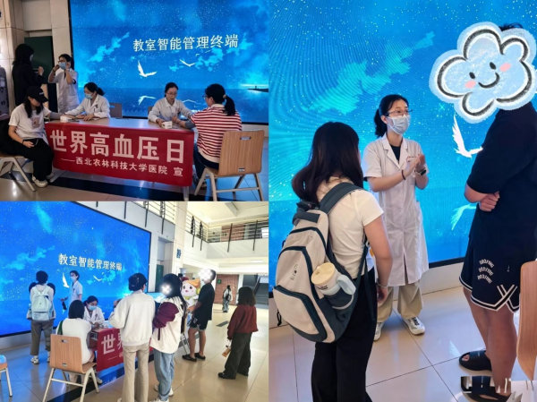 图片2_副本.png
